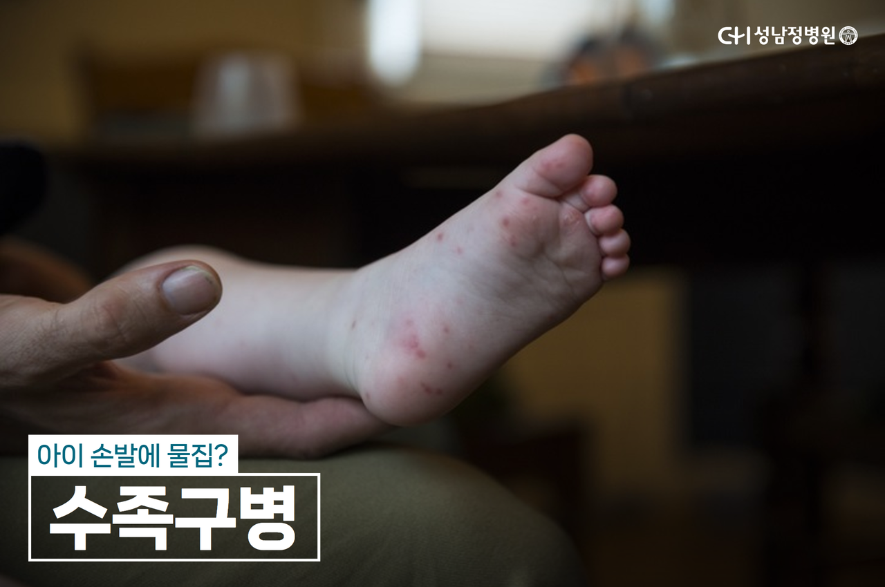 건강정보